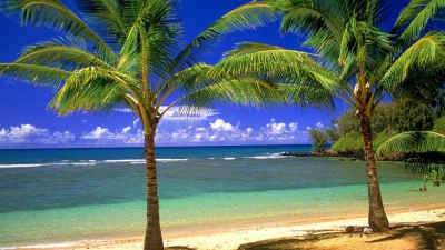Hawaii Life style